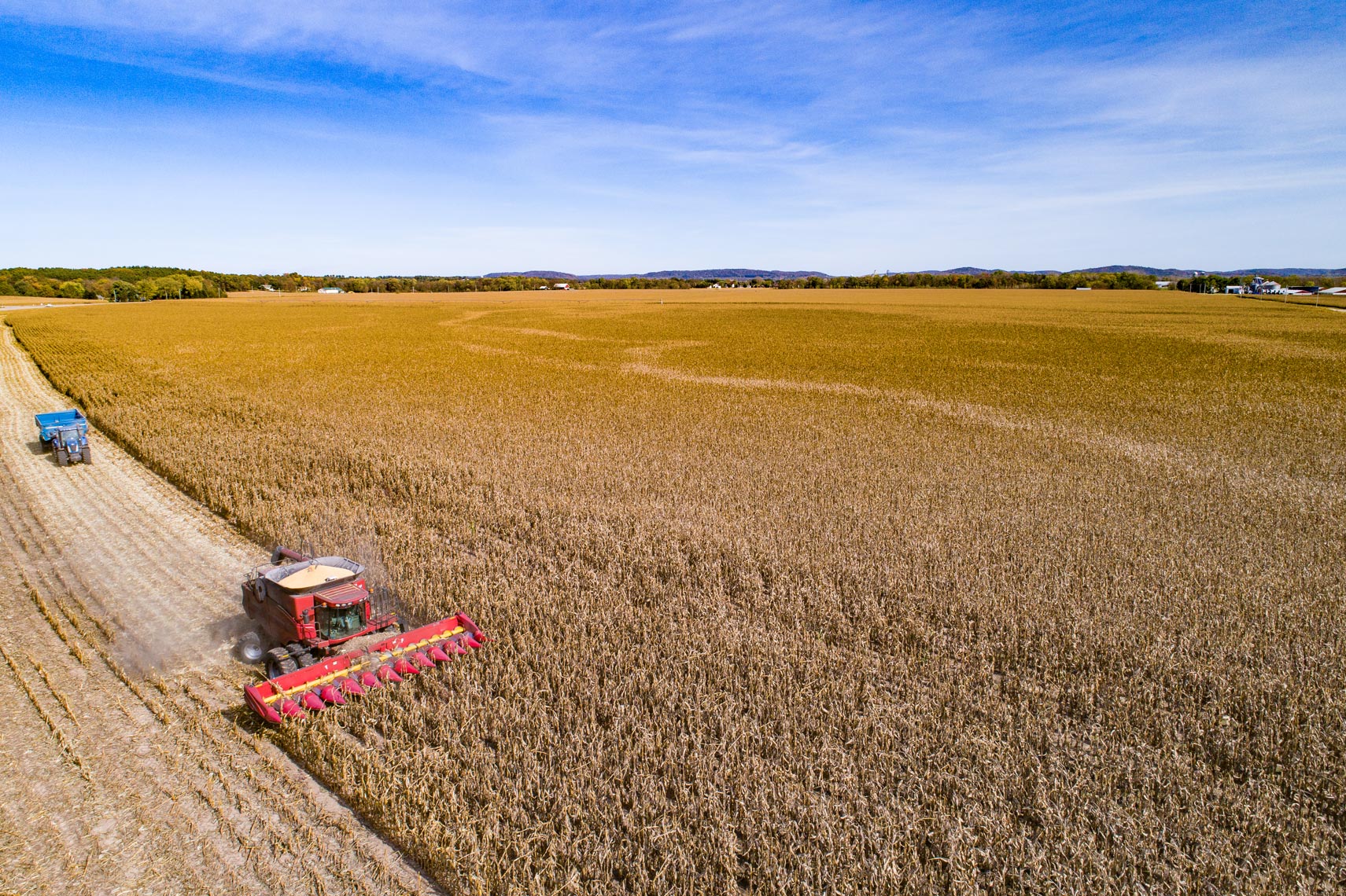 DJI_0052CornHarvest