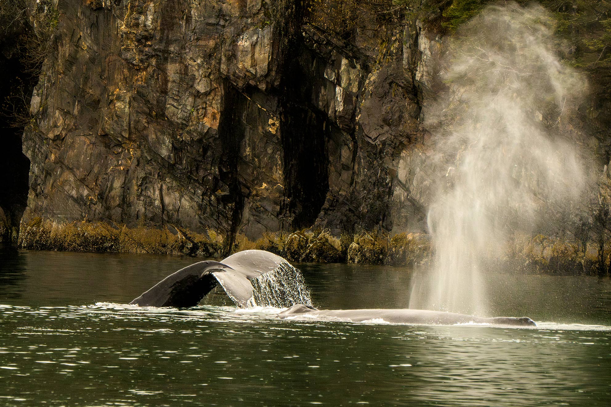 _DSC1016-Enhanced-NRWEB