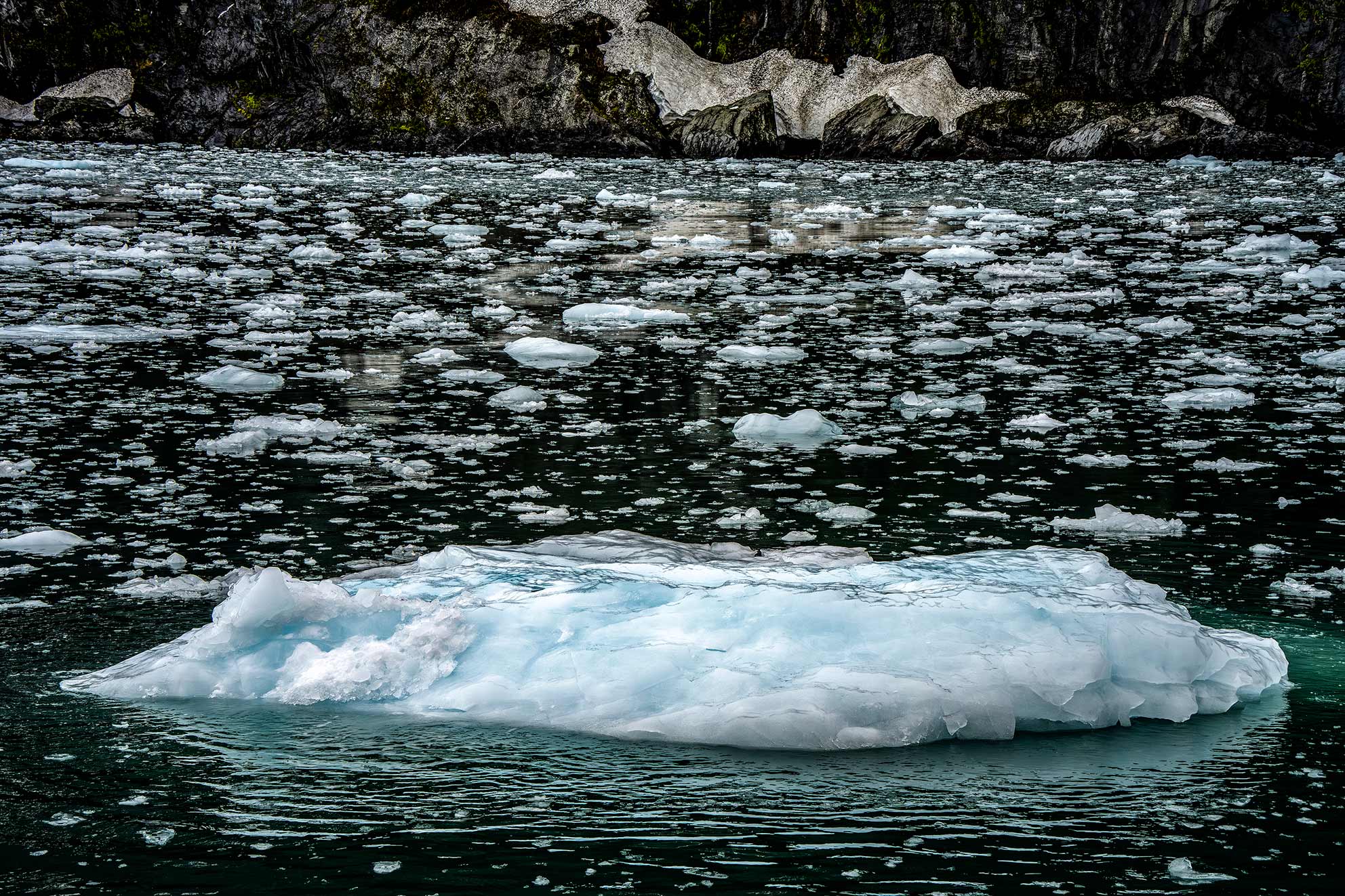 _DSC1795-GlacierIce-in-BayWEB