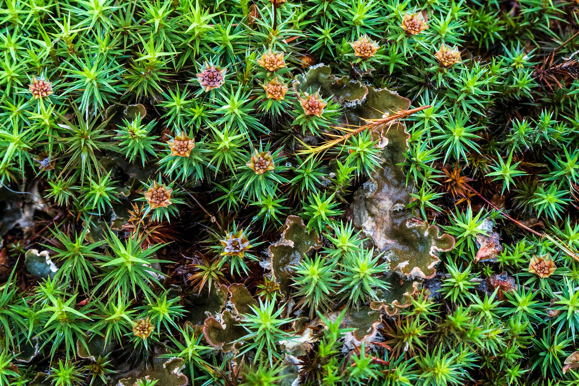 _DSC1972WEB
