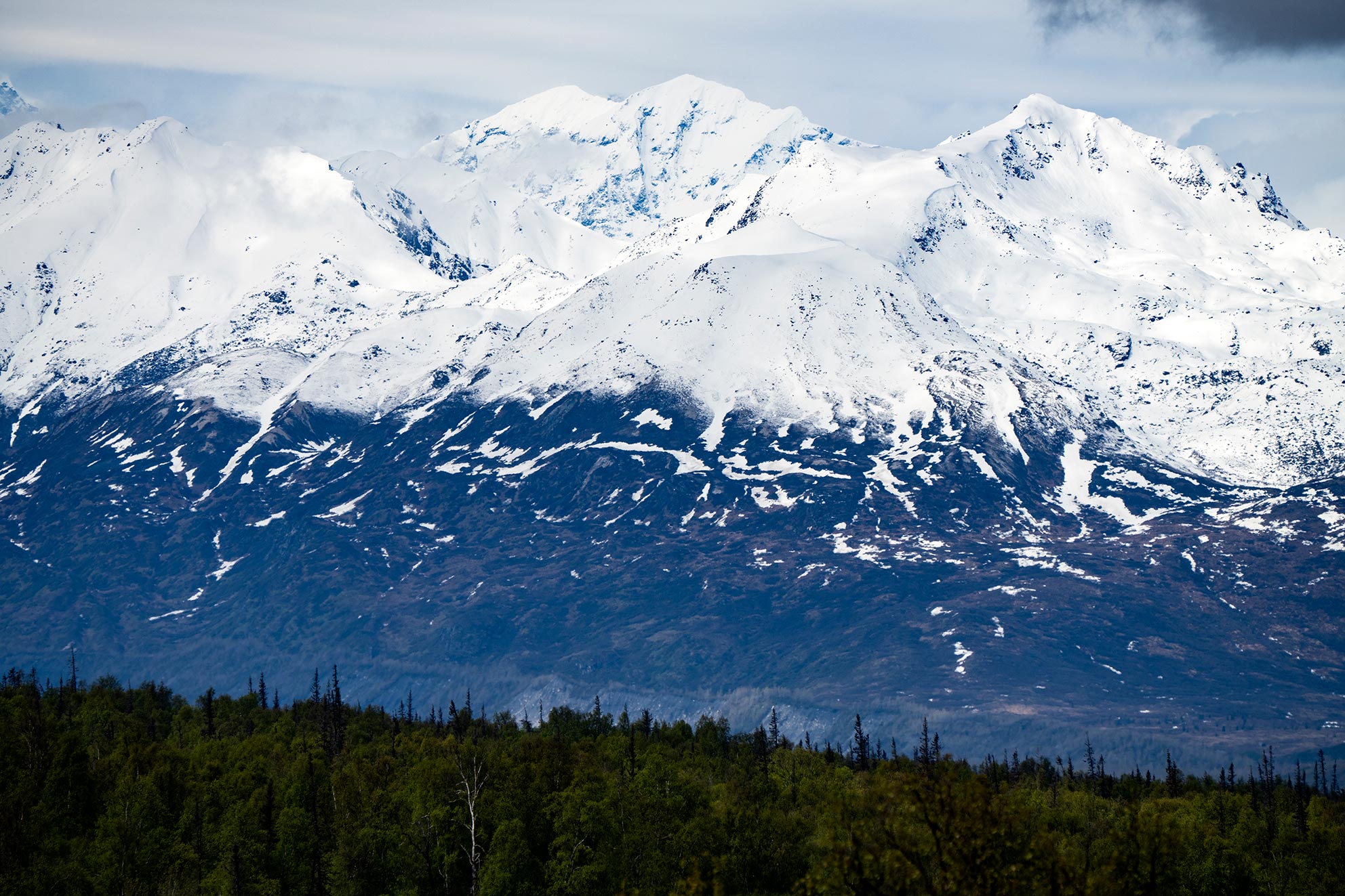 _DSC2009WEB