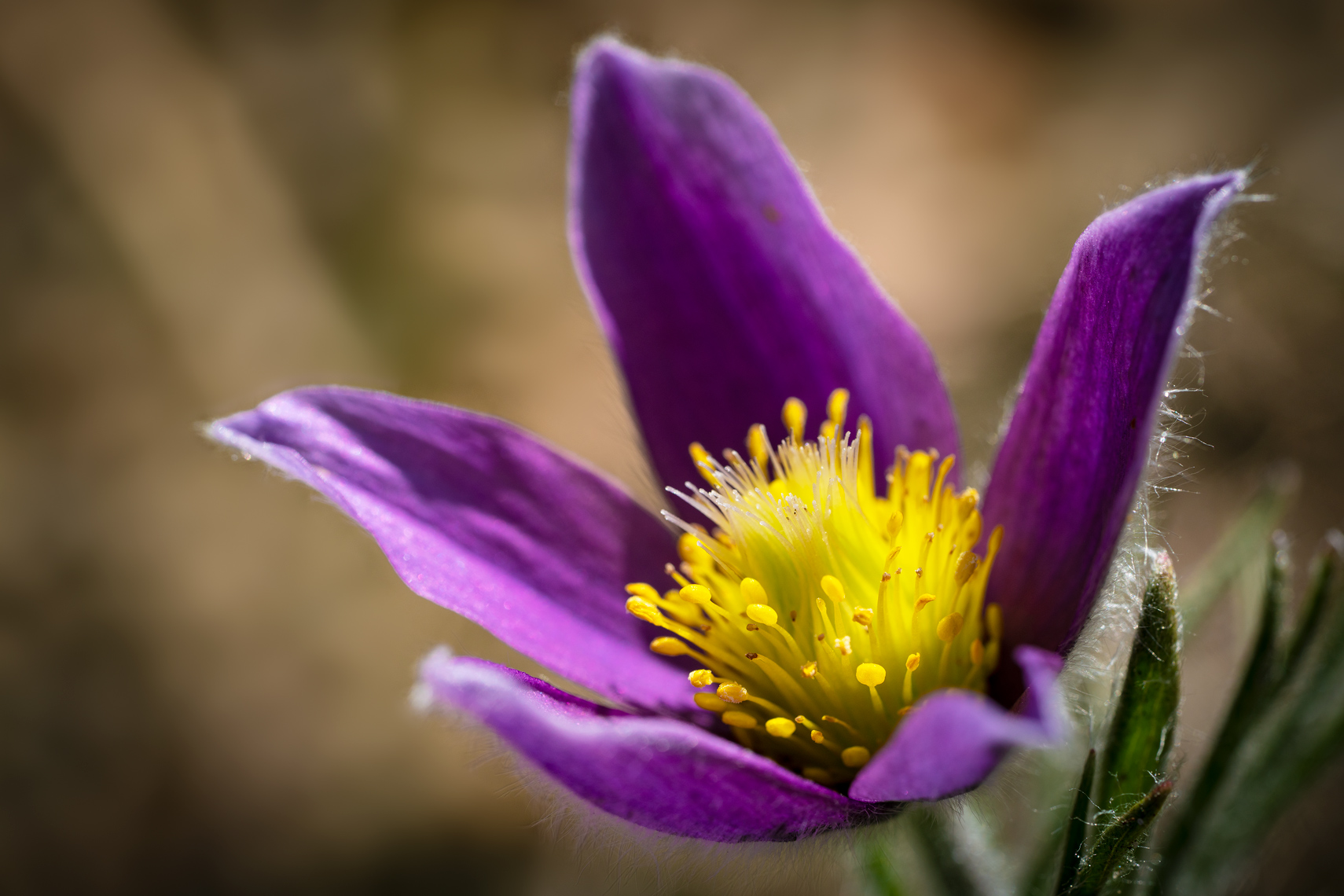 _DSC5430.WEB